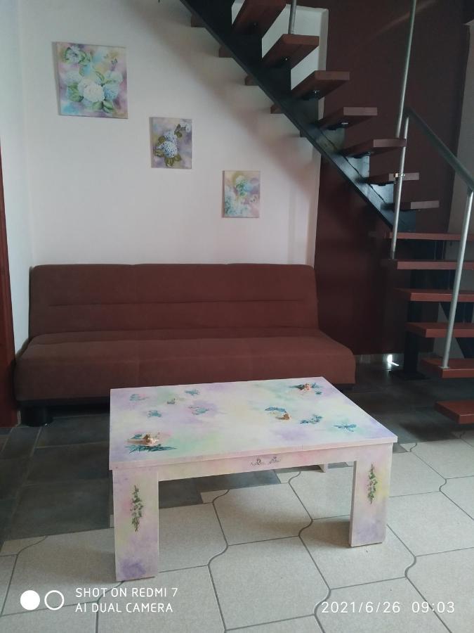 Country Art Studio Alkyoni Apartment Kokkino Nero Luaran gambar